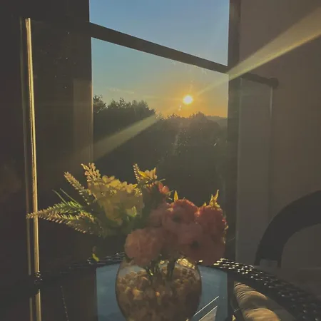 Apartman Borovi Divčibare