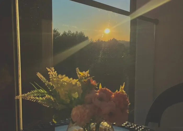 Apartman Borovi Divčibare