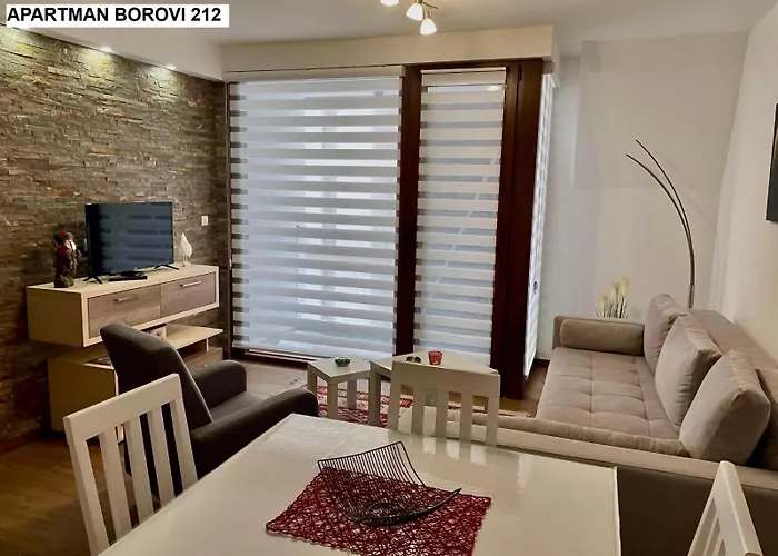 Apartman Borovi